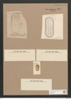Surirella sp. (de-Toni-Nr.: Genus 53, Species 2279, 2298 ?) Zeichnungen Sammlung Grunow Nr. 4824 (NHMW-BOT-W0372982)